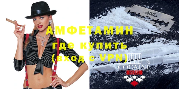 шишки Абаза