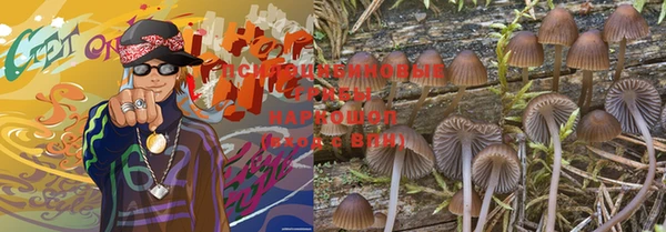 шишки Абаза