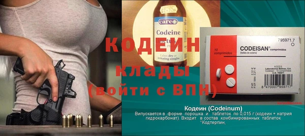 шишки Абаза