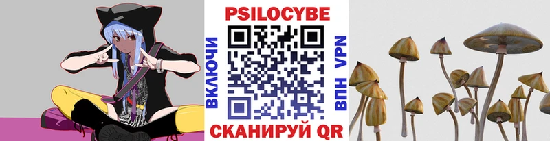 купить закладку  shop Telegram  Галлюциногенные грибы мухоморы  Нюрба 