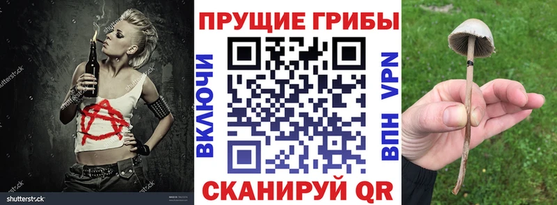 Псилоцибиновые грибы Magic Shrooms Нюрба